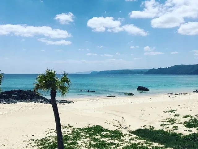 奄美大島 ホテル リゾート