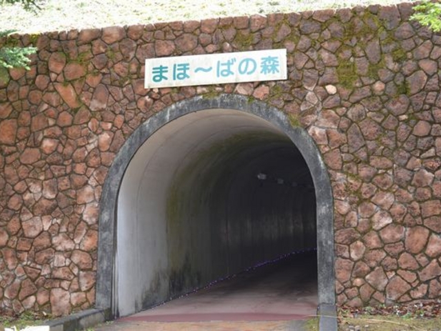 񂳂̂܂ف[΂̐X̓eʐ^3