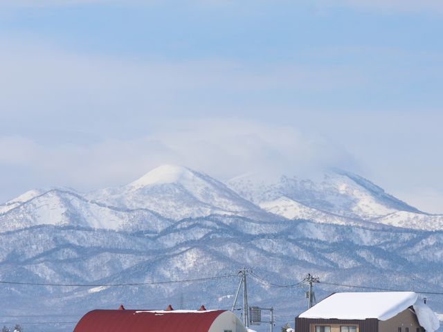 �s���l�V���ƃ}�`�l�V��_�s���l�V��