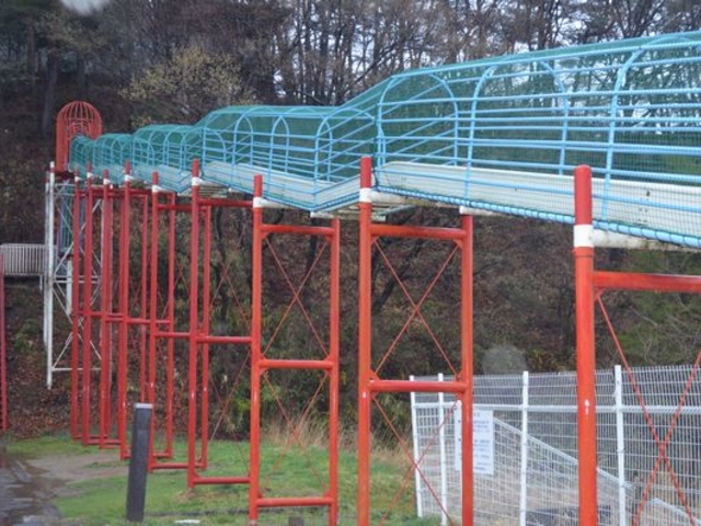 �q��������Ί��肽���Ȃ�V����ƂȂ�ɁB_���剷��@�₷�炬�̓�