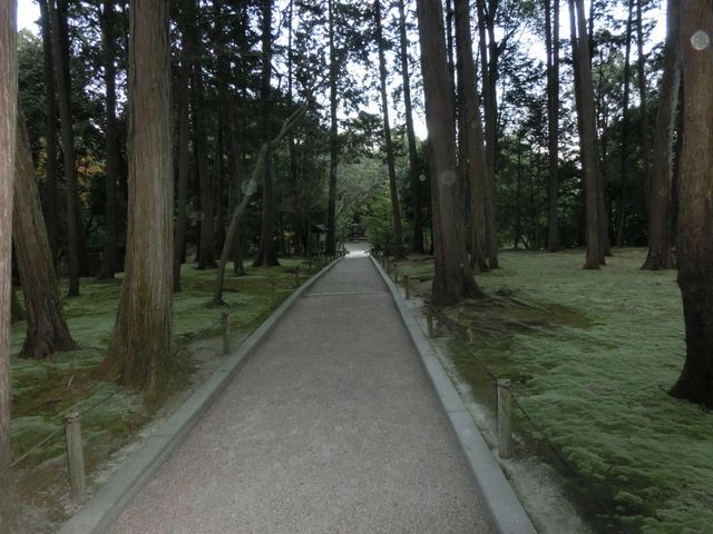 _ւ̎Q͐_Ił_񎛊JR_