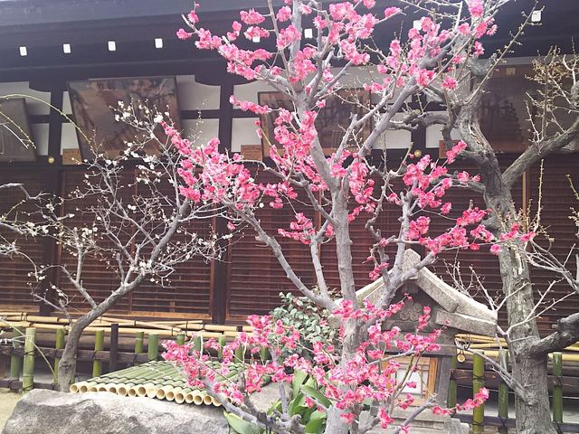 ���V���{_���V���{�i�V�_����j