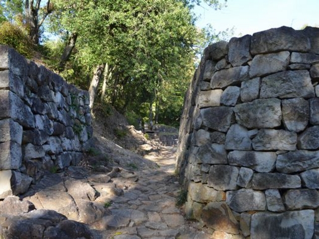 񂳂̋RnCLOR[X̓eʐ^2