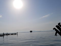 ~̃tEFCN{[_[Yւ̓eʐ^1