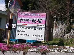 ܂܂̑哹ōւ̓eʐ^1