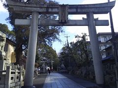 ܂[񂳂̓X_Ђւ̓eʐ^1