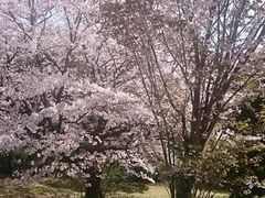 ܂܂̓i̐Xjւ̓eʐ^1