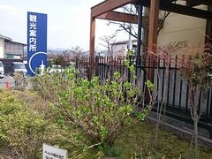 まんまさんの香山公園前観光案内所への投稿写真1