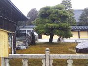 ܂[񂳂̌FJZ|̏̓eʐ^1