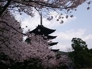 �܂�܂���̍��R�����E�ڗ������^������̓��e�ʐ^1