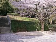 �܂�܂���̉i���R�����^������̓��e�ʐ^1