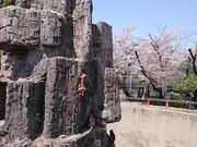 �܂�܂���̎���s���R�������^������̓��e�ʐ^1