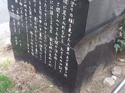 ܂[񂳂̒J菁Yw̓eʐ^1