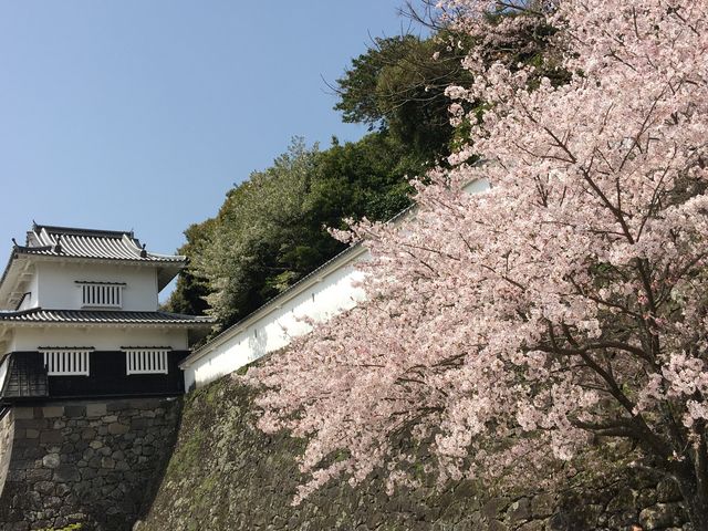 �t�͍����Y��ł��B_�蓇���