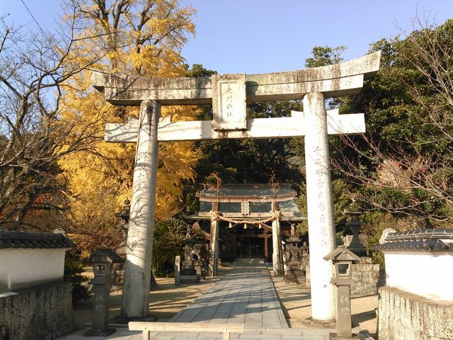 ������O��_�呺�_��