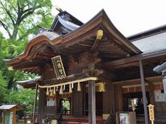 ����������񂳂�̐��˔����{�ւ̓��e�ʐ^1