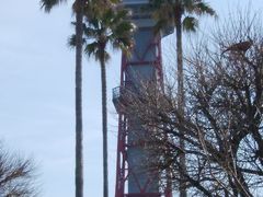 ��������񂳂�̔����|�[�g�^���[�ւ̓��e�ʐ^1