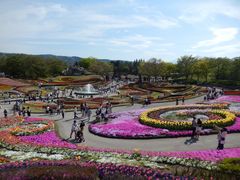 ZUNDAM̍ĉ݂m̌ΔȌւ̓eʐ^1