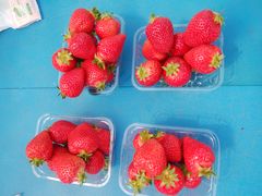 񂳂̃zCgx[ւ̓eʐ^1