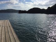 JOE����̉����p�̓��e�ʐ^1