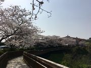 poporon̐CYق̓eʐ^2