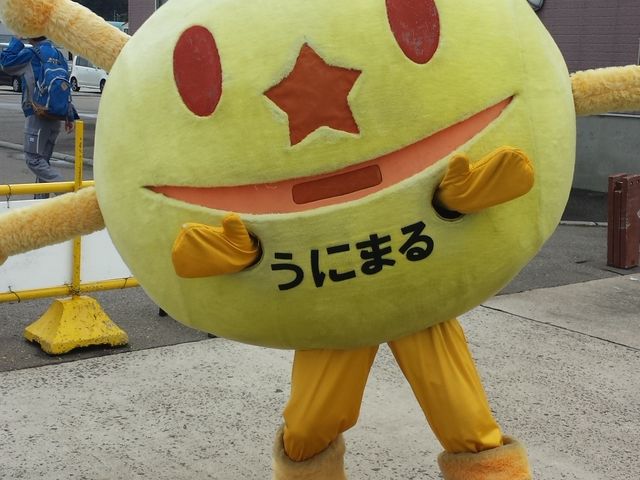 �悤����_���K��