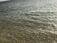 �ƂƂ���̗^�ߗ䒷�l�ւ̓��e�ʐ^1