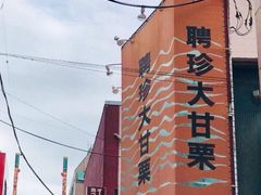 }S[ْÌI kHXւ̓eʐ^1