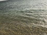 ƂƂ̗^ߗ䒷l̓eʐ^1