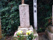 �����߂���̊ϕ����̓��e�ʐ^2