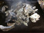 bloẽXbcEICX^[ErbWispj̓eʐ^1