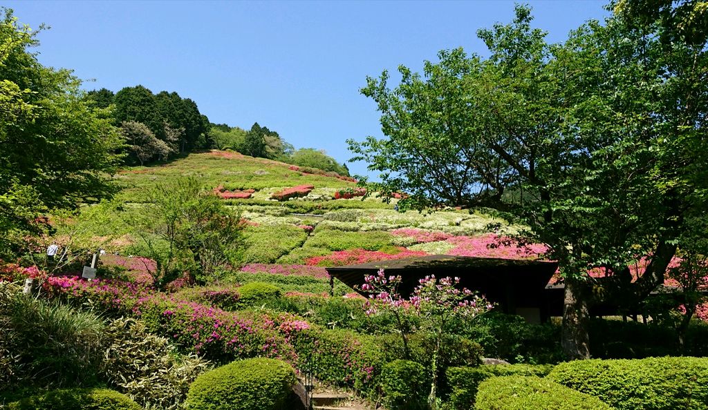 姫の沢公園