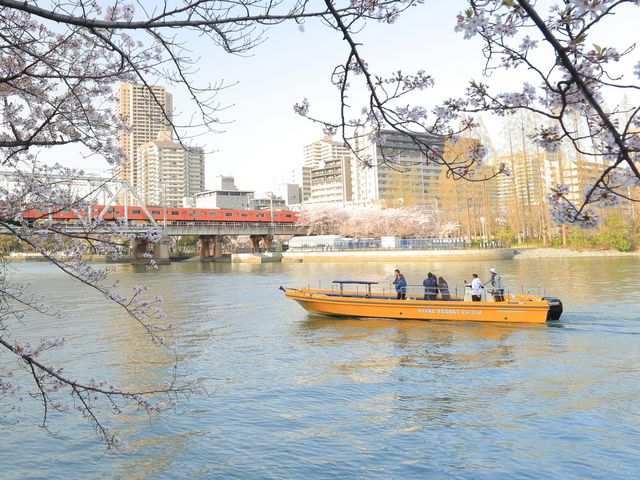 ���ɂ͊���̓S�����˂����Ă��āA�Ђ�����Ȃ��ɓd�Ԃ��ʂ�܂��B_�єn���V�{����