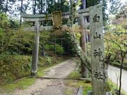 �g�����\����̔��R�_�Ђ̓��e�ʐ^1