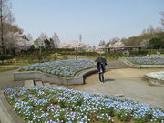 poyon36̑{Ԃ̋u_ь̓eʐ^4