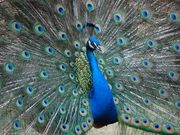 񂳂̉JRy@iJωj̓eʐ^1