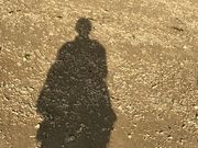 �ƂƂ���̎u�ˉ��C������̓��e�ʐ^1