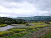 ڂ炳̖ؒÐ㗬̓eʐ^3