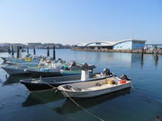 ��������񂳂�̕��㋙�`�̓��e�ʐ^1