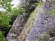 こぼらさんの上野城跡の投稿写真2