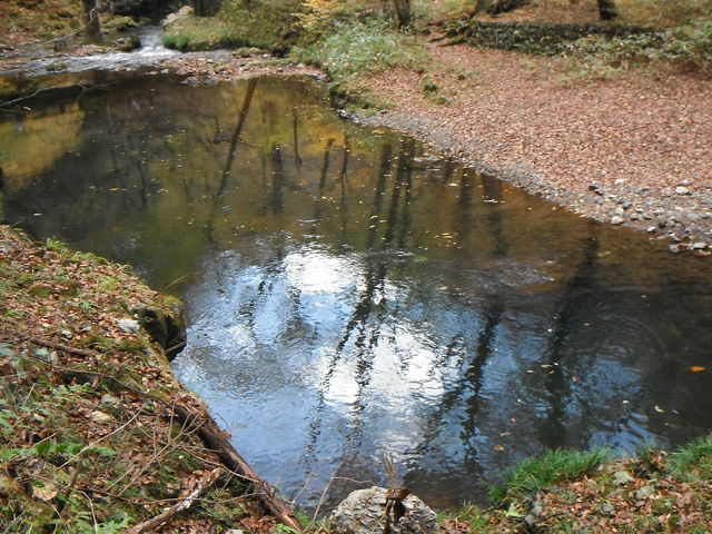 ��ߋ��J_��ߋ��܂ق�΂̗�