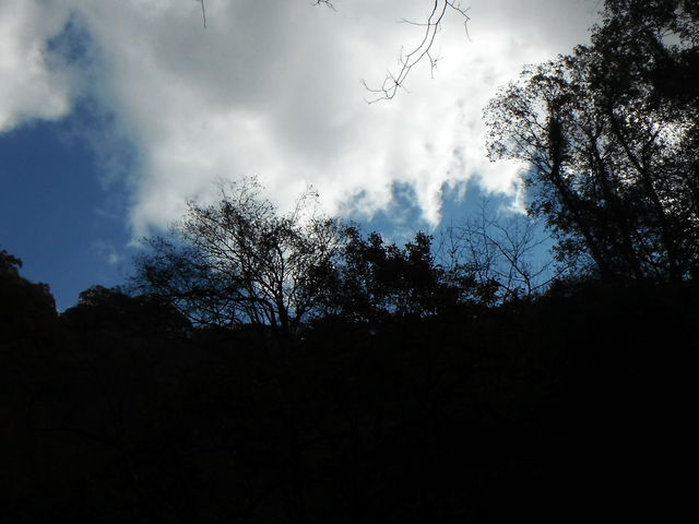 ��߂̋�_��ߋ��܂ق�΂̗�