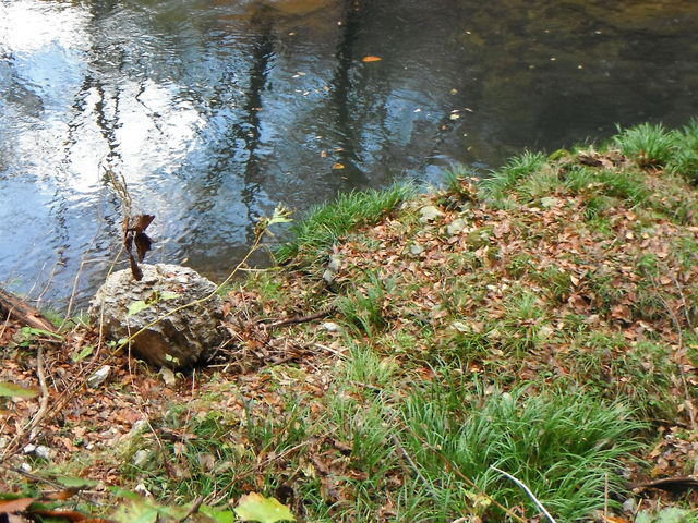 ��ߐ�_��ߋ��܂ق�΂̗�