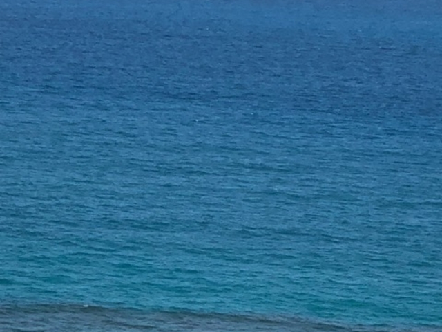 �r�[�`_21���I�̐X�r�[�`