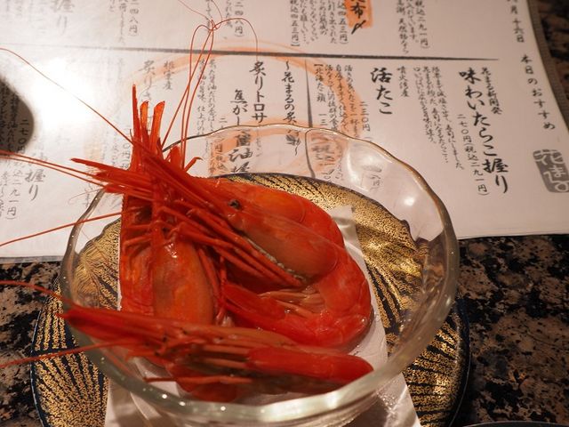 Gr_]i Ԃ܂ JR^[XevCXX