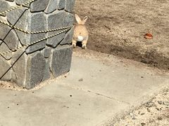 䂫񂳂̋xɑ v쓇ւ̓eʐ^1