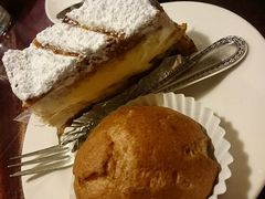 �t�^�R����̂��낽���ւ̓��e�ʐ^1