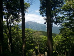 アンダーさんの高取山の展望台への投稿写真1
