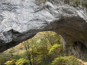 䂫񂳂̒ߋ܂ق΂̗̓eʐ^1