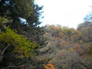 䂫񂳂̒ߋ܂ق΂̗̓eʐ^6